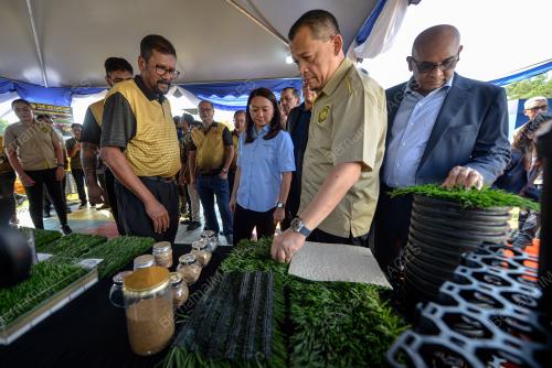HANNAH YEOH