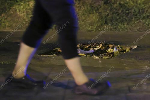 BANJIR KILAT