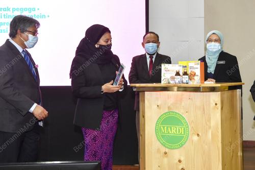 DATUK HASLINA ABD HAMID