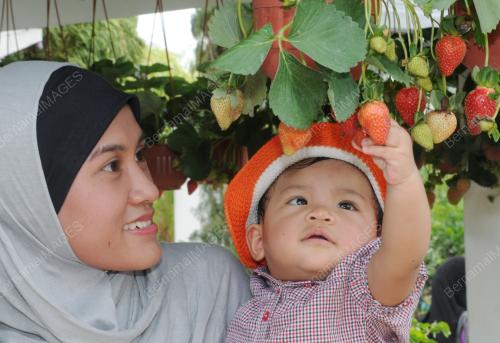 FLORIA 2011