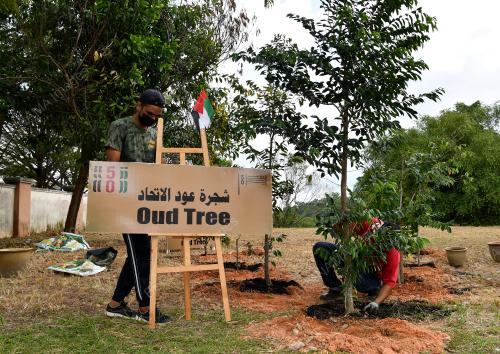 UAE POKOK