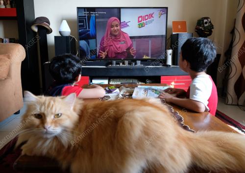 DIDIKTV