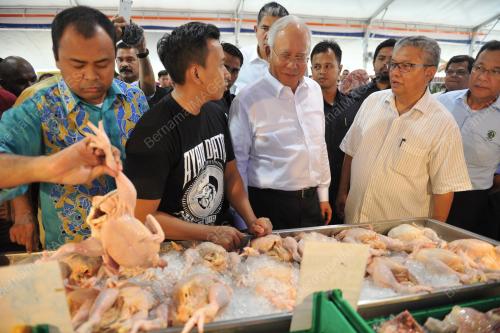 PTJ12_17032016_MYFARM