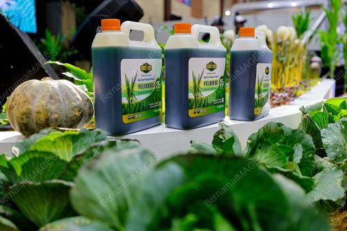 PELANCARAN PRODUK PELADANG 25