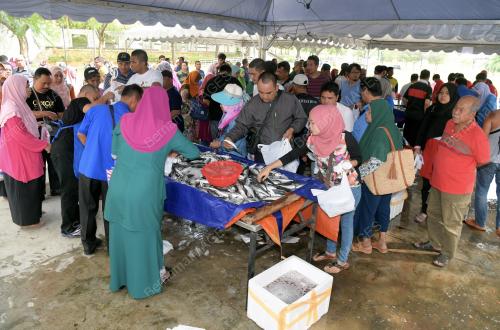 PTJ12_22022018_IKAN_BN201802219594