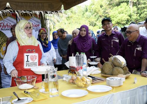 PTJ132_31082019_PERMAISURI