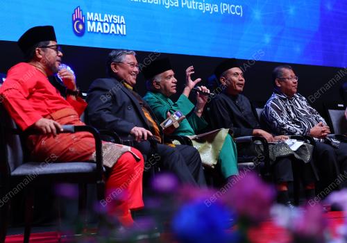 DATUK DR AMEER ALI MYDIN