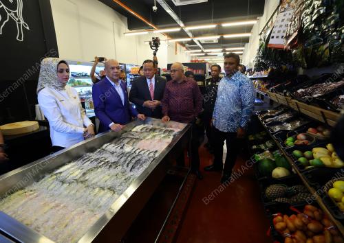 DATUK ARMIZAN MOHD ALI