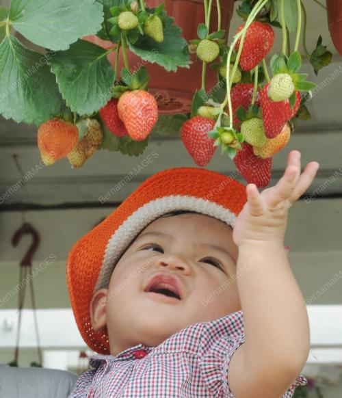 FLORIA 2011