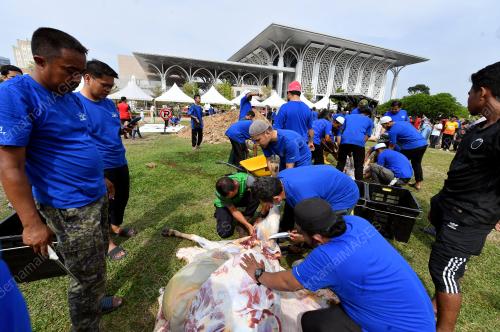 TINJAUAN IBADAH KORBAN
