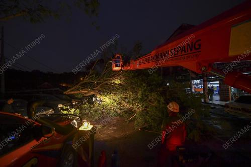 POKOK HEMPAP KERETA DI CYBER VALLEY DENGKIL