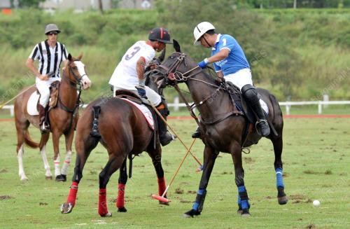 PTJ13_22112015_POLO