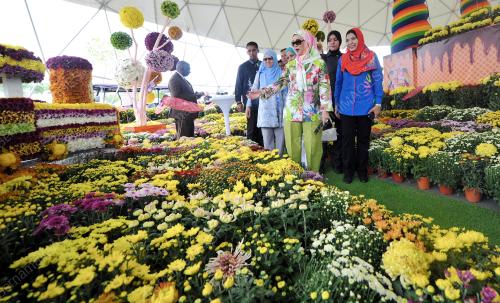 PTJ13_26052016_PERMAISURI