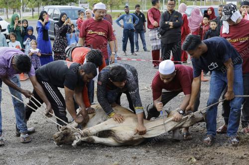 IBADAH KORBAN