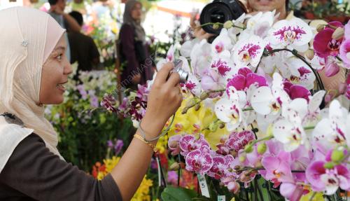 FLORIA 2011