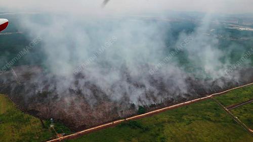 PTJ14_09082017_HUTAN_TERBAKAR