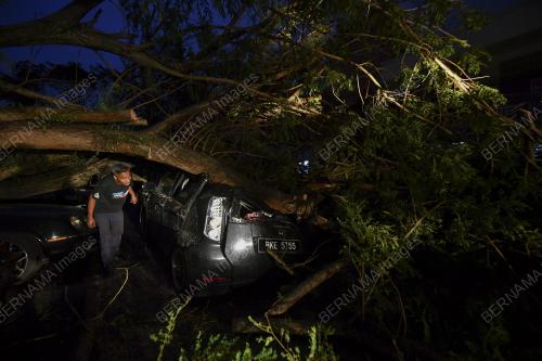 POKOK HEMPAP KERETA DI CYBER VALLEY DENGKIL