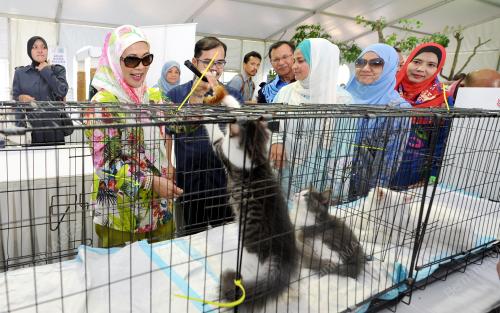 PTJ14_26052016_PERMAISURI