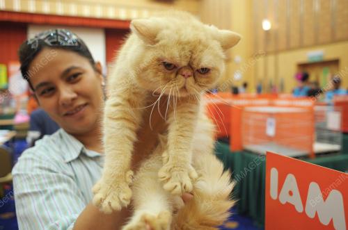 PTJ14_27052012_BELIA