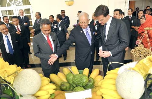 PTJ15_05112014_PM_RUTTE