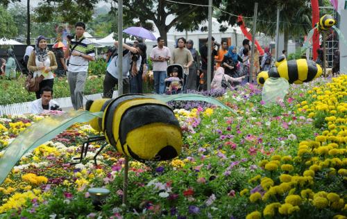 FLORIA 2011