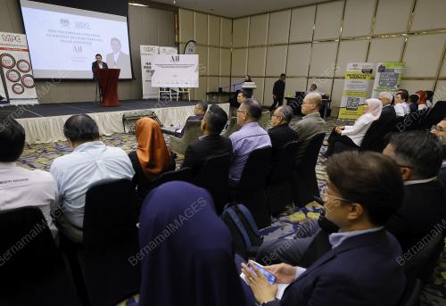 RAFIZI RAMLI
