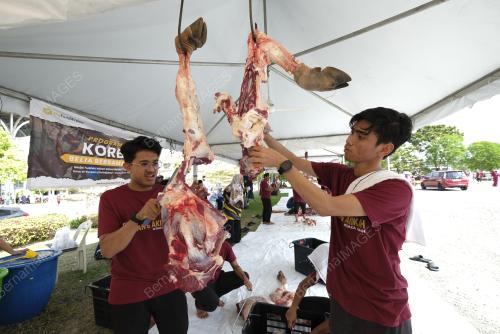 IBADAH KORBAN