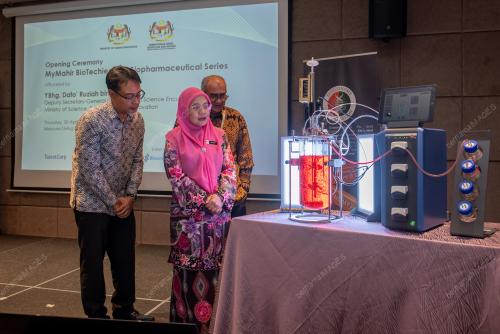 DATUK RUZIAH SHAFIE