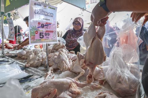 SAMBUTAN BULAN KELUARGA KEBANGSAAN