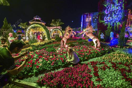 PENCAHAYAAN MALAM FLORIA PUTRAJAYA