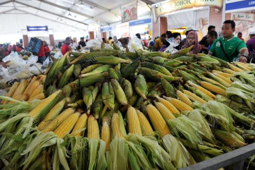 PTJ16_04122016_JAGUNG