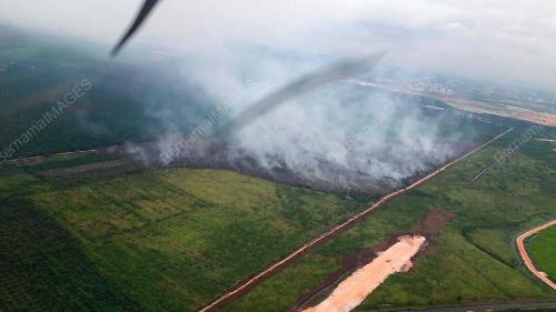 PTJ16_09082017_HUTAN_TERBAKAR