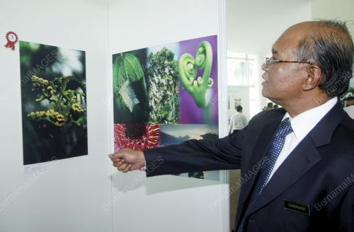 DATUK SERI KAMARUDDIN SIARAF