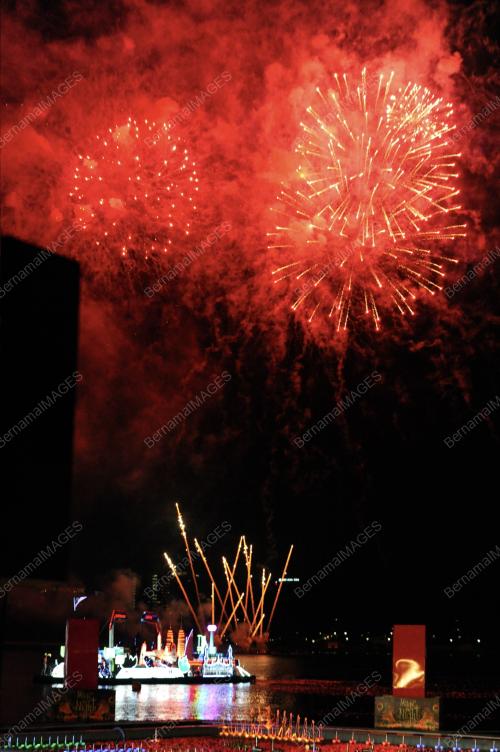 PTJ16_14062014_BUNGA_API