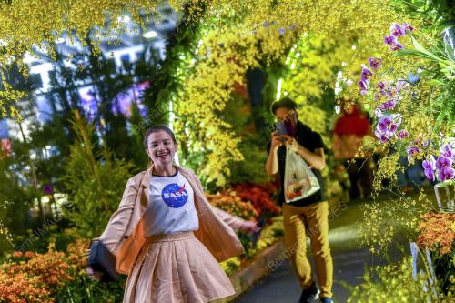 PENCAHAYAAN MALAM FLORIA PUTRAJAYA