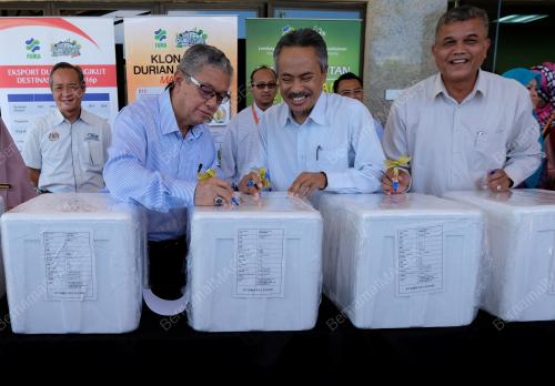 PTJ17_17102017_DURIAN_BN201710168608_3