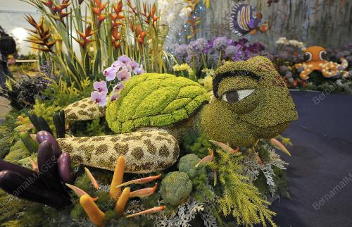 PTJ17_29062012_FLORIA