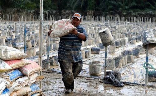 TINJAUAN PASCA BANJIR SEKTOR PERTANIAN