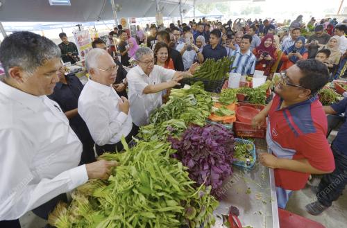 PTJ18_17032016_MyFarm