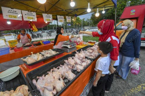 TINJAUAN HARGA AYAM