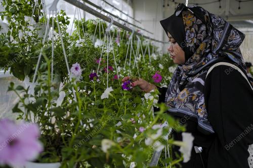 FLORIA DIRAJA PUTRAJAYA 2024
