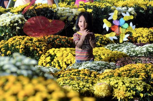 PTJ18_29052016_FLORIA2016
