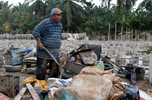 TINJAUAN PASCA BANJIR SEKTOR PERTANIAN
