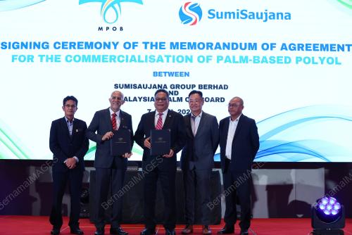DATUK DR AHMAD PARVEEV GHULAM KADIR