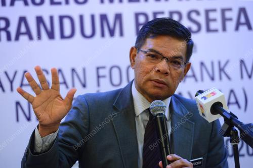 DATUK SERI SAIFUDDIN NASUTION ISMAIL