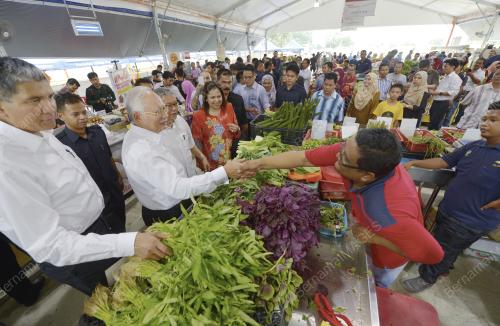 PTJ19_17032016_MyFarm