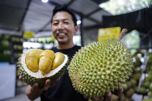 EZYDURIAN