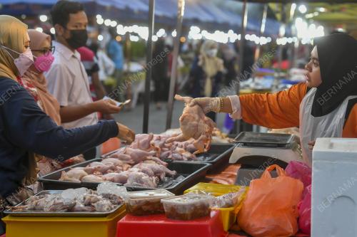 TINJAUAN HARGA AYAM