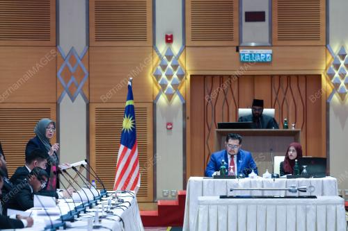 DATUK SERI DR ZALIHA MUSTAFA