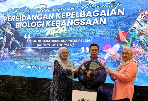 DATUK DR CHING THOO KIM